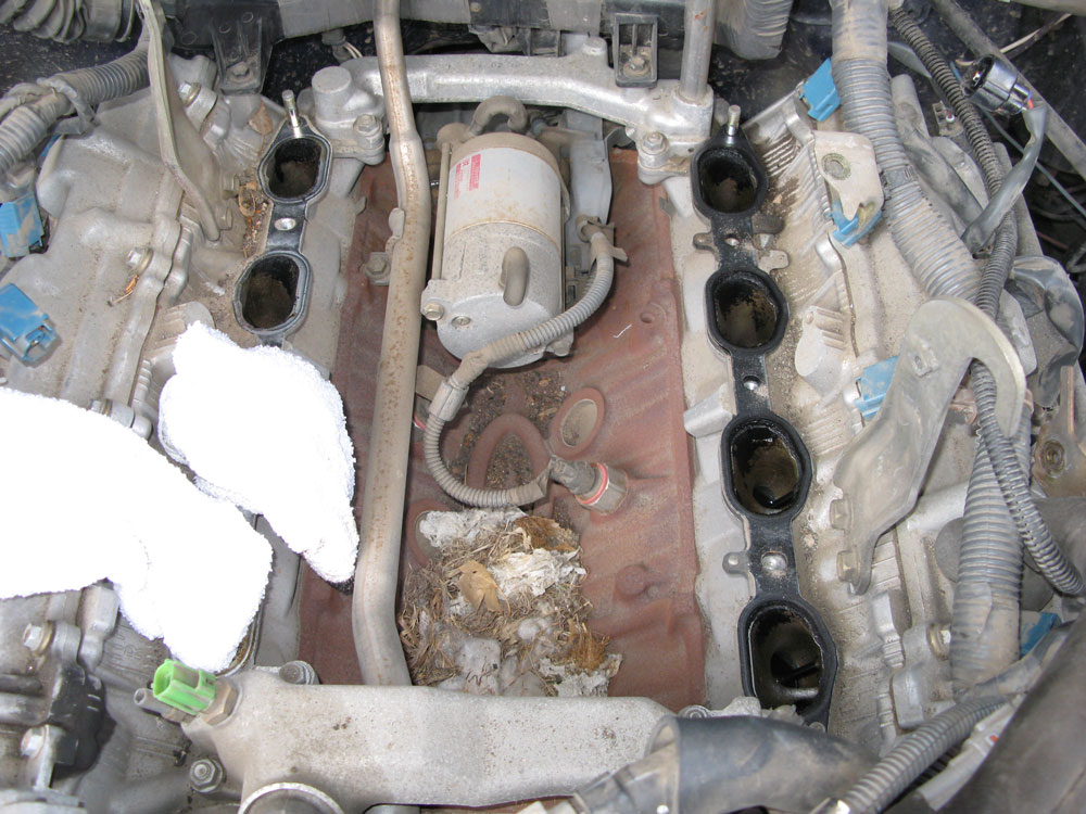 2002 toyota sequoia starter problems #6 2002 toyota sequoia starter problems #6
